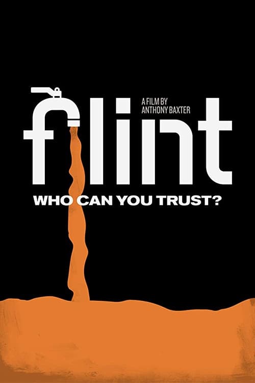 Постер Flint